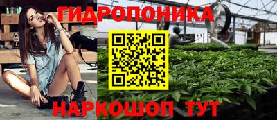 прущие грибы Гусь-Хрустальный