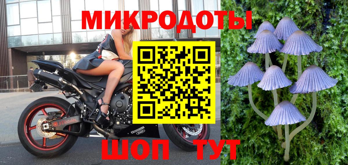 Мелеуз  Псилоцибиновые грибы GOLDEN TEACHER  Вход с VPN 